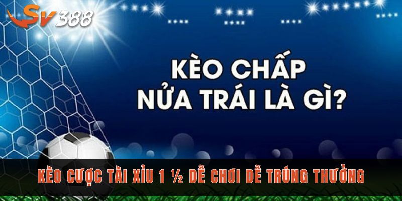 Kèo cược tài xỉu 1 ½ dễ chơi dễ trúng thưởng
