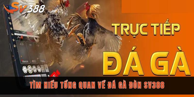 Tìm hiểu tổng quan về đá gà đòn SV388